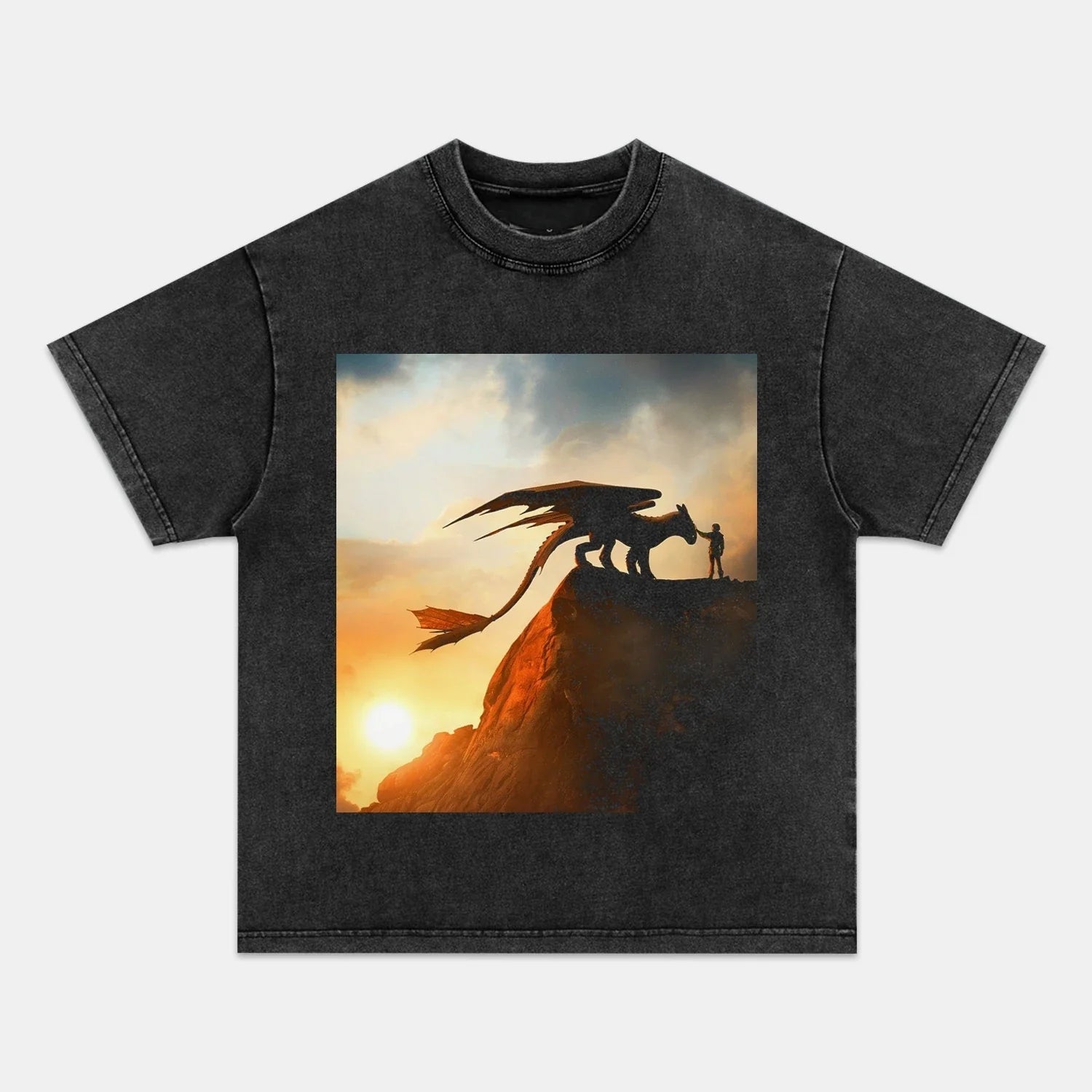 HOW TO TRAIN YOUR DRAGON TEE 1.0 - POPCHANGER