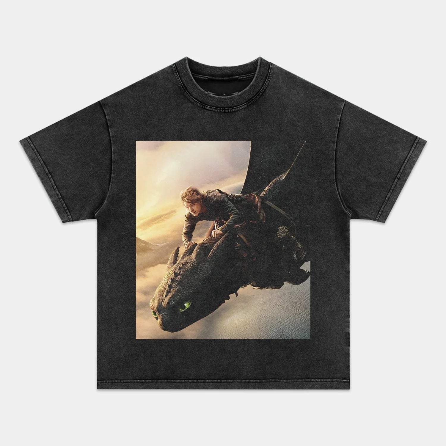 HOW TO TRAIN YOUR DRAGON TEE - POPCHANGER