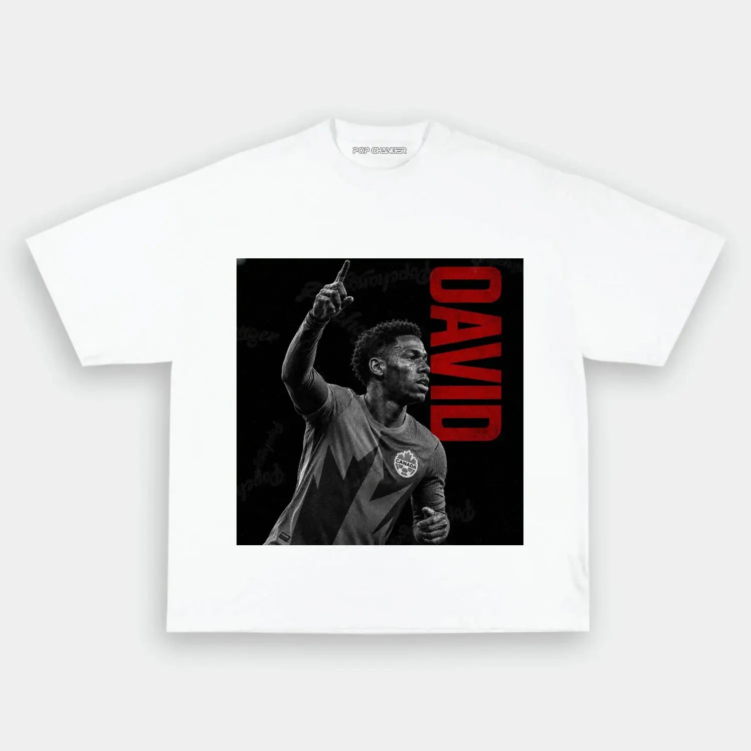 Canada TEE 2.1 - POPCHANGER