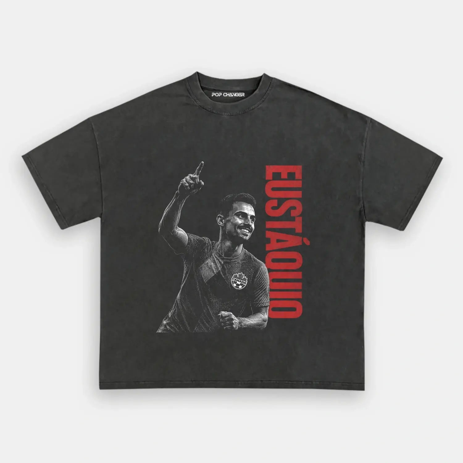 Canada TEE 3.1 - POPCHANGER