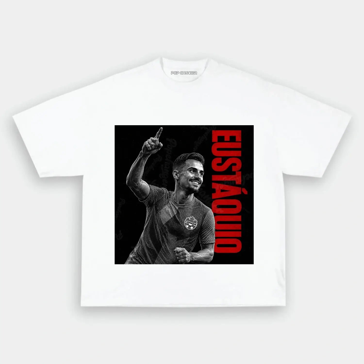 Canada TEE 3.1 - POPCHANGER