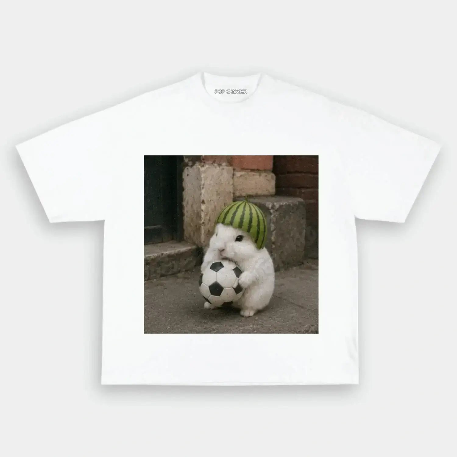 Funny pets Tee 16 - POPCHANGER