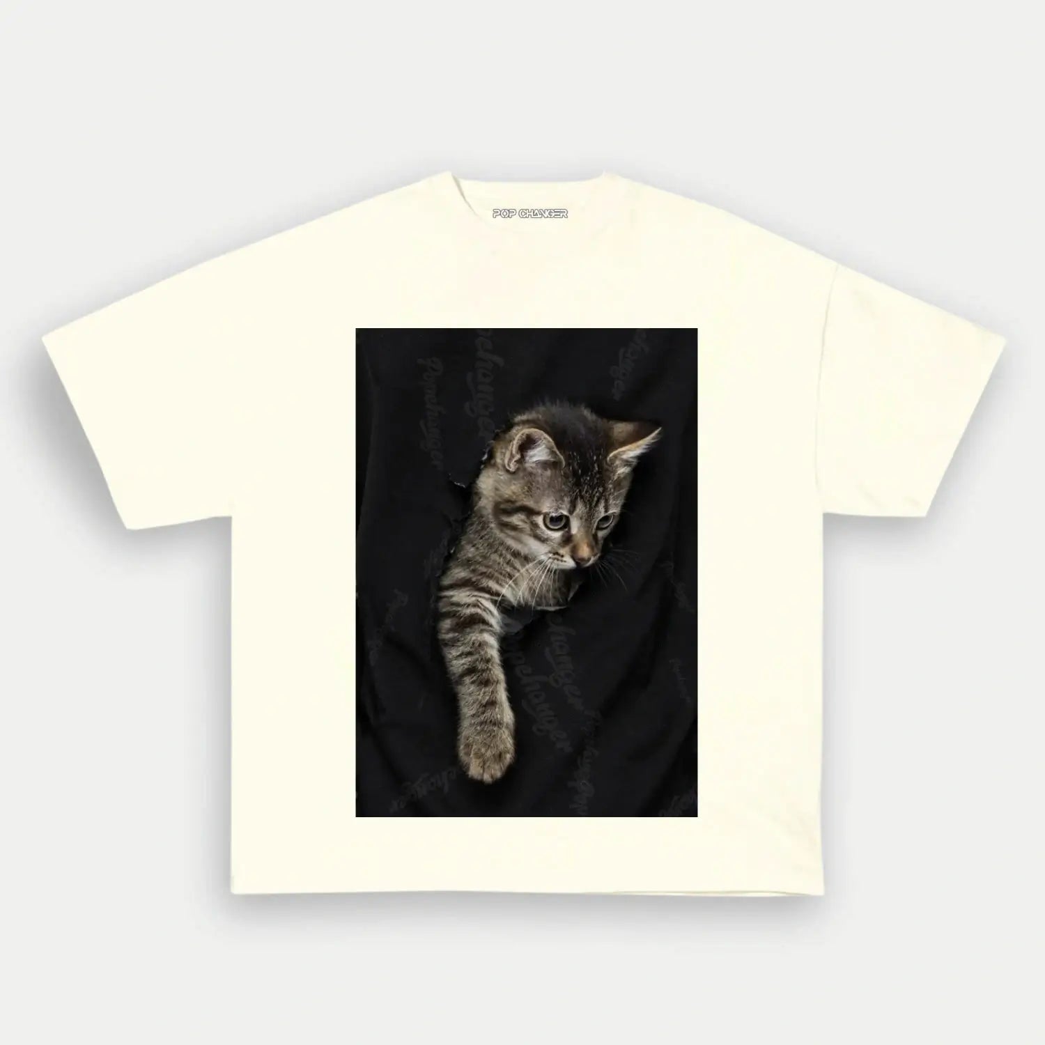 Parody tee10 - POPCHANGER