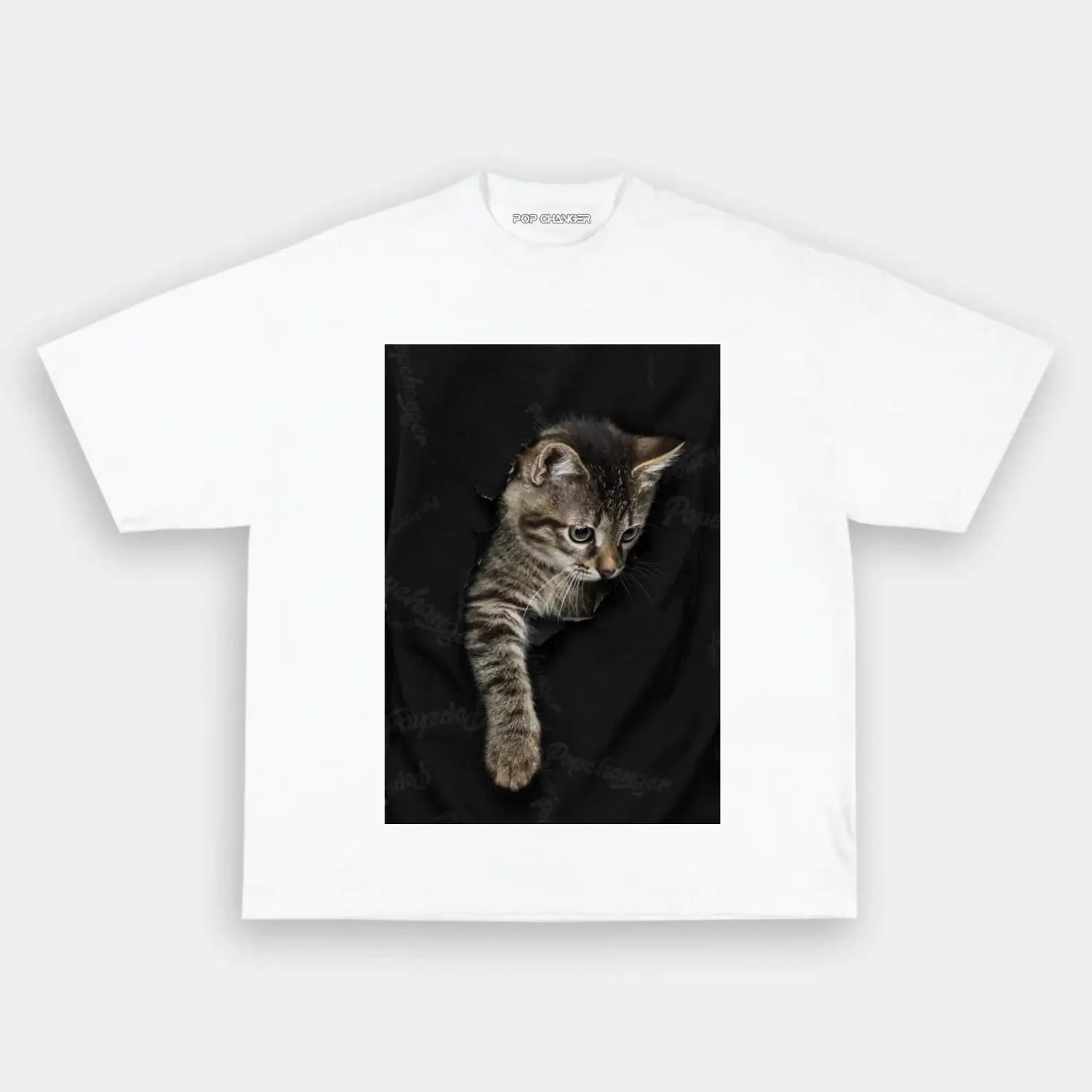 Parody tee10 - POPCHANGER